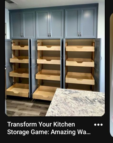 Built In Pantry Cabinet Wall, Wall Pantry, Pantry Designs, Small Kitchen Pantry, Clutter Free Kitchen, Unique Kitchen Backsplash, Built In Pantry, Homestead Ideas, Minimalist Living Room Design