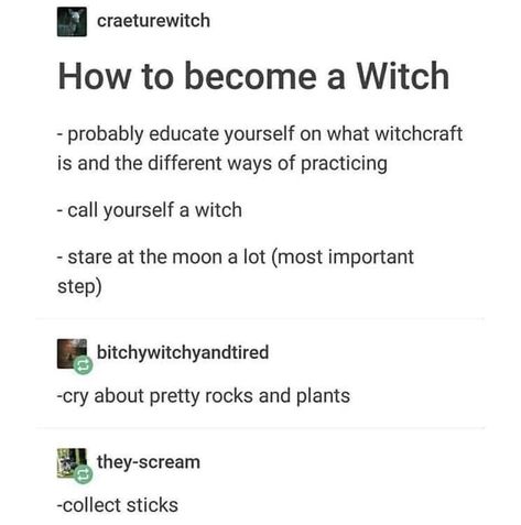 Witch humor How To Be A Witch, Im A Witch, Witch Meme, Become A Witch, Witch Things, Witches Broom, Random Tips, Witchy Tips, Broom Closet