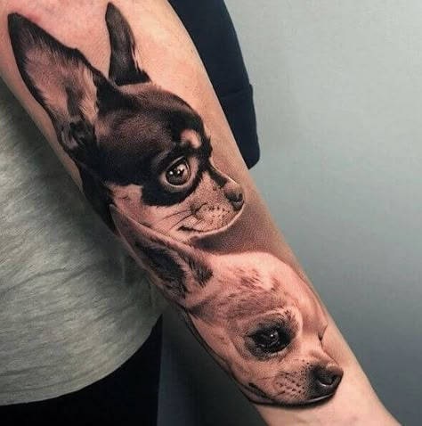 Chihuahua Tattoo Ideas, Pet Portrait Tattoos, Chihuahua Tattoo, Feather Tattoo Meaning, Dog Portrait Tattoo, Pug Tattoo, Hyper Realistic Tattoo, Portrait Tattoos, Realistic Tattoo Sleeve