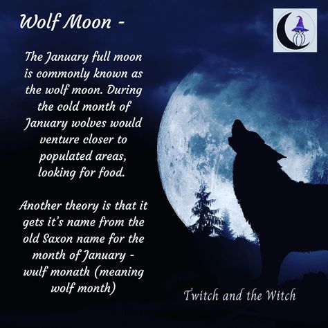 Wolf Moon January 2024, January Full Moon 2024, Full Wolf Moon 2024, January Full Moon, Connecting To Nature, Full Moon Spells, Capricorn Season, Witch Tips, Trust Your Intuition