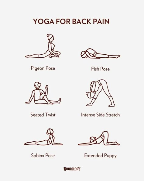 Yoga Poses For Back Pain, Yoga Poses For Back, Morning Yoga Routine, Yoga For Back Pain, Daily Yoga Workout, Relaxing Yoga, Quick Workout Routine, Yoga Stretching, Easy Yoga Workouts