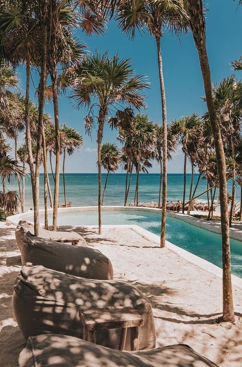 Tulum #tulum #mexico #playas Papaya Playa Project Tulum, Aloita Resort, Beach Hangout, Papaya Playa Project, Tulum Mexico Resorts, Coolest Hotels, Tulum Mexico Beach, Beach Wall Collage, Tulum Hotels