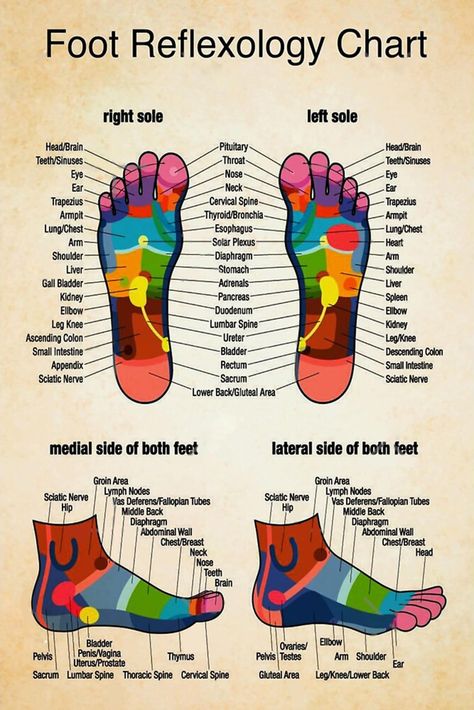 Massage Therapist Foot Reflexology Chart 1 Poster, Vintage Poster Poster Building, Autogenic Training, Healing Reflexology, Massage Images, Lymph Drainage Massage, Neck Tension, Reflexology Foot Chart, Drainage Massage, Back Relief