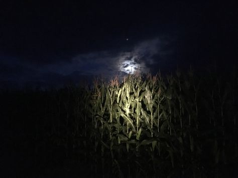 Full moon over the cornfield. Corn Fields, Magical Moon, Corn Field, Midwest Emo, Theme Pictures, Night Gif, Super Moon, September 2024, 80 Years