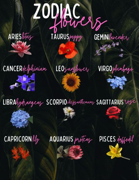 Zodiac Signs Flowers Birth Month, Lotus Flower Zodiac Tattoo, Flowers For Each Zodiac Sign, Flower For Taurus, Zodiac Flower Bouquet Tattoo, Flowers For Zodiac Signs, Star Sign Flowers, Zodiac Flowers Birth Month, Zodiac Signs As Flowers