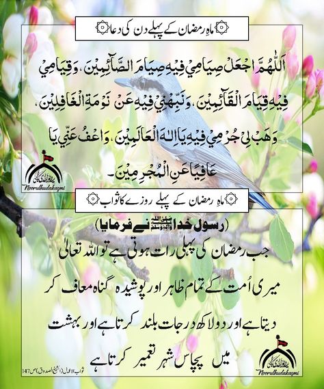 #Ramzan_k_pehle_Din_ki_dua #Ramzan_kareem #ramzan_30_days_Duas #Ramzan_frist_Day_Dua #1_Day_Dua Ramzan Dua, Ramzan Kareem, Quote Islam, Prayer Quotes, 1 Day, 30 Day, Quotes, Quick Saves, Design