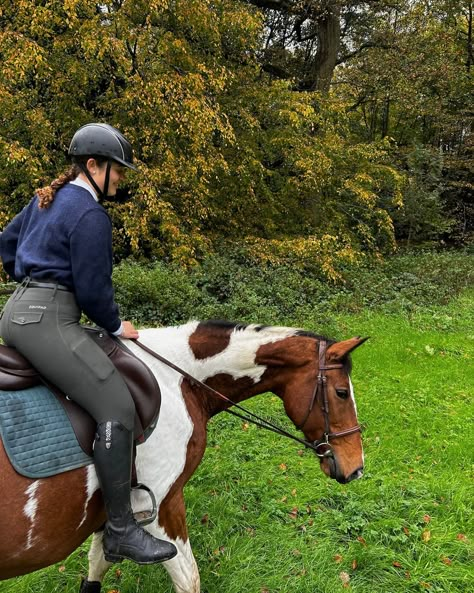 English Riding Aesthetic, Horses Pics, Canterwood Crest, English Riding Outfit, Equestrian Horses, Riding Aesthetic, Riding Outfits, Equestrian Aesthetic, I M Sick