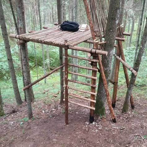 Bushcraft Treehouse, Bushcraft Furniture, Lithuania Nature, Wilderness Survival Shelter, Tree Rope, 1000 Lifehacks, Bushcraft Shelter, Cord Wood, Camping Shelters