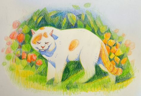 Used some ancient colored pencils to draw this... - Art by Meggy Vodusek Pencil Texture, Color Pencil Illustration, Art Major, Exotic Cats, Watercolor Cat, Marker Art, Cat Illustration, Pencil Illustration, Cat Drawing