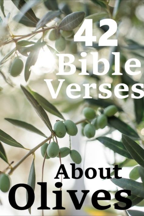 Olive Tree Quotes, Olive Branch Bible Verse, Olive Oil Quotes, Olive Branch Meaning, Olive Quotes, Olive Branch Art, Tree Favors, Leaf Quotes, Short Bible Verses