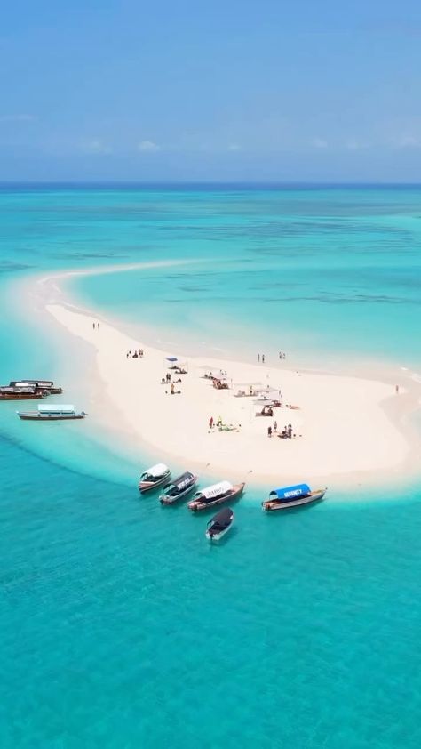 ENJOY A FULL DAY TRIP TO NAKUPENDA NAKUPENDA SANDBANK WITH PRISON ISLAND AND STONE TOWN Your program will start as soon as you finish… | Instagram Prison Island Zanzibar, Nakupenda Zanzibar, Zanzibar Wallpaper, Trip Goals, Africa Bucket List, Seafood Feast, Stone Town, Live Coral, Army Girlfriend