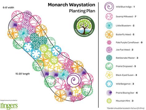 Monarch way station layout Monarch Waystation, Garden Design Home, Pollinator Garden Design, Monarch Butterfly Garden, Butterfly Garden Design, Swamp Milkweed, Planting Plan, Life Color, Garden Design Plans