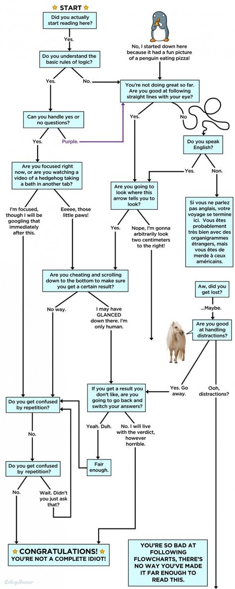 A funny flow chart infographic. Funny Flow Charts, Flow Chart Infographic, Flow Charts, Funny Charts, Flow Chart Template, Attention Span, College Humor, Flow Chart, Data Visualization