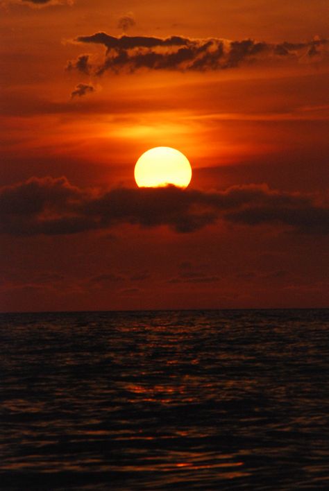 Sunrise at Bethany Beach The Sun Up Close, Sun Photography Aesthetic, Sun Rise Photography, Sun Rise Aesthetic, Sun Down, Sun Photos, Photo Ciel, Sun Pictures, Pictures Of The Sun