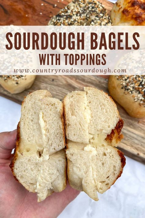 These Sourdough Bagels are chewy and so delicious! They are everything you love about bagels, but they are leavened with active sourdough starter for a natural rise, easier digestion and signature sourdough flavor. Sourdough Bagels Same Day, Active Sourdough Recipes, Active Sourdough Starter Recipes, Fermented Dough, Sourdough Bagel, Active Sourdough Starter, Sourdough Bagels, Discard Recipe, Plain Bagel