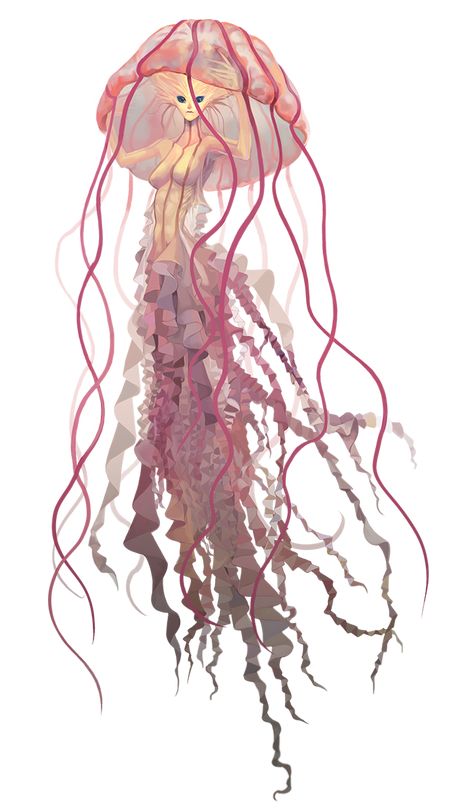 A collection of jellyfish mermaids I've found all over the Internet - Album on Imgur Jellyfish Illustration, Jellyfish Painting, Jellyfish Drawing, Mermaid Drawings, Art Mignon, Fantasy Creatures Art, Mythical Creatures Art, Creatures Art, Creature Concept Art