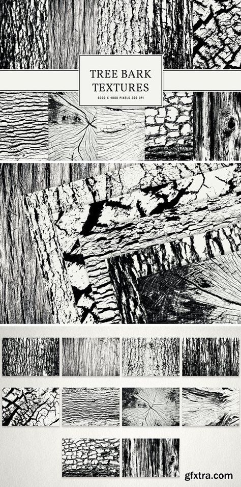 Tree Bark Tattoo, Tree Texture Drawing, How To Draw Tree Bark, Tree Bark Art, Tree Bark Drawing, Tree Texture, Tree Bark Sketch Drawings, Tree Bark Illustration, Bark Texture