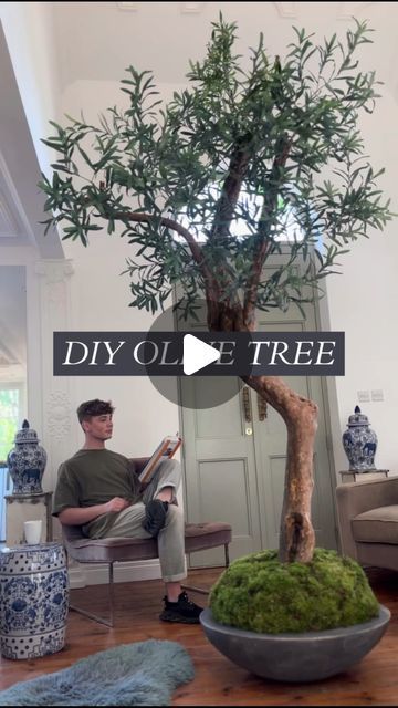 Jack kinsey [ Interior Design Masters ] on Instagram: "I always wanted a GIANT Ancient olive tree but they don’t live well inside and even the faux ones cost hundreds / thousands.  So what’s a guy to do? Get the look for less of course...💁‍♂️  I foraged a fallen branch and moss (land owners permission) Used an old pot, some ‘postcrete’, expanding foam and IKEA faux foliage to bring my tree to life! 🌳 Postcrete set the branch rock hard whilst the expandy foam added some volume to the base for the moss to flock over.  Drilling holes in the trunk was the perfect method to attach the faux foliage. 🌿 Tada !!! Doesn’t she look amazing... 😍 I was actually motivated by @casacrank who I saw make one previously on one of her reels, thank you babes you really inspired me to give it a go!   #inter Tree Making Craft, Fake Trees Diy, How To Make Fake Tree Branches, Diy Olive Tree, Diy Wisteria Tree, How To Make A Fake Tree, Diy Fake Tree, Cement Tree, Diy Faux Tree