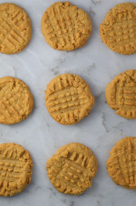 Peanut Butter Protein Cookies | A Taste of Madness Protein Peanut Butter Cookies, Peanut Butter Protein Cookies, Whey Protein Recipes, Chocolate Protein Bars, Easy Peanut Butter Cookies, Peanut Butter Pretzel, Peanut Butter Oatmeal Cookies, Protein Powder Recipes, Protein Desserts