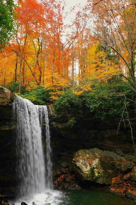 Ohiopyle State Park, Free Fall Wallpaper, Leaf Peeping, Waterfall Hikes, Fun Adventure, Waterfall Photography, Smoky Mountain National Park, Beautiful Waterfalls, Fall Wallpaper