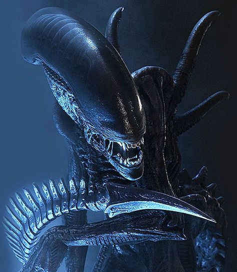 Ridley Scott Alien, Alien Convenant, Giger Alien, Predator Alien Art, Giger Art, Alien 1979, Alien Artwork, Alien Tattoo, Arte Alien