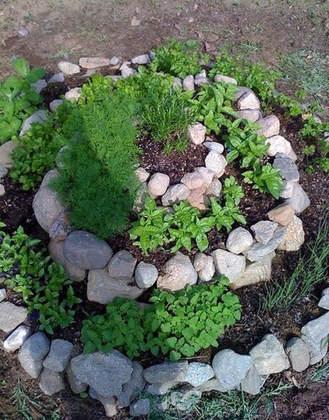 Make Your Own Wonderful DIY Spiral Herb Garden - The Owner-Builder Network Herbal Garden Ideas, Herb Rock Garden, Spiral Garden Design, Round Garden Design, Spiral Garden Bed Ideas, Tiered Garden Ideas, Herb Garden Ideas Outdoor, Spiral Flower Bed, Spiral Herb Garden Ideas