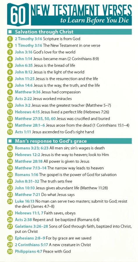 New Testament Verses, Easy Bible Study, Bible Charts, New Testament Bible, Learn The Bible, Scripture Memorization, Study Topics, Personal Bible Study, Study Plans