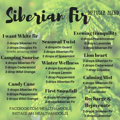 Siberian Fir diffuser blends Siberian Fir Diffuser Blends, Best Smelling Essential Oils, Doterra Oils Recipes, Siberian Fir, Doterra Diffuser Blends, Doterra Essential Oils Recipes, Essential Oil Diffuser Recipes, Oil Diffuser Recipes, Essential Oil Blends Recipes