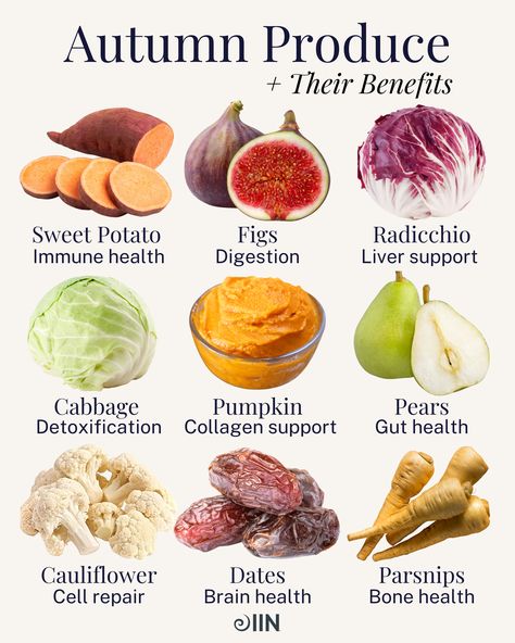 Tap the link to download your guide!  Fall in love with the flavors of autumn.🍂🍐 As the seasons rotate, its beneficial to rotate our grocery lists as well!⁠ ⁠ Check out our Farmer's Market Guide to learn more about the health benefits of eating local, seasonal produce.   #fallfood #fallproduce #sweetpotato #immunity #digestion #liversupport #collagen #brainhealth #bonehealth #cellrepair #guthealth Fall Produce, Seasonal Produce, Eat Seasonal, Healthy Fall, Healthy Homemade Recipes, Seasonal Food, Eat Fruit, Holistic Nutrition, Immune Health