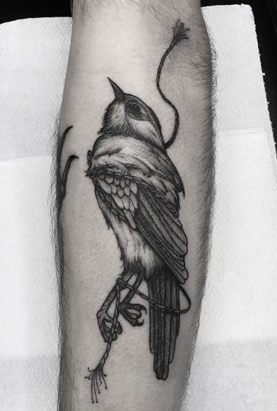 Black Work Bird Tattoo, Dark Bird Tattoo, Bird Skeleton Tattoo, Dead Bird Tattoo, Robin Tattoo, Medieval Tattoo, Insect Tattoo, Blackout Tattoo, Mushroom Tattoos