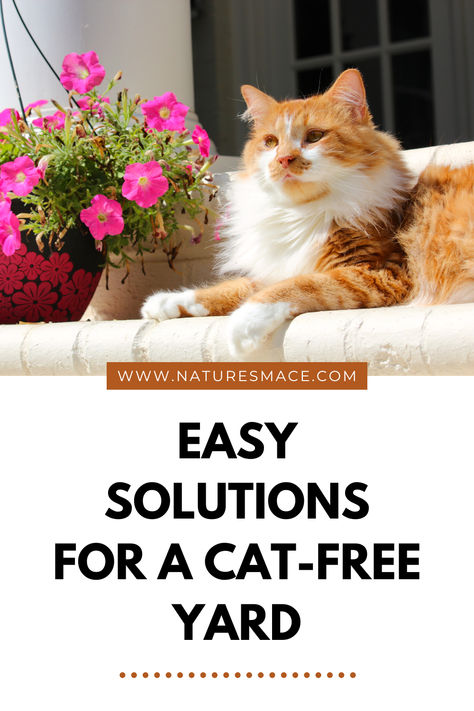 Ready to reclaim your outdoor space without the hassle of stray or feral cats? Discover expert tips and natural solutions with Nature's MACE! Learn how our proven cat repellent keeps gardens, patios, and lawns cat-free while being safe for pets, plants, and the environment. Click to learn more and explore simple, effective strategies that will transform your yard into a peaceful sanctuary. Don’t miss out—your cat-free yard starts here! Cat Repellant Outdoor, Cat Repellent, Cat Repellant, Natural Pest Control, Feral Cats, Pest Control, Repellent, The Environment, Outdoor Space