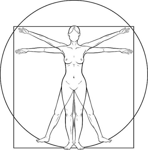 vitruvian woman - Brave Search Vitruvian Man Tattoo, Vitruvian Woman, Man Tattoo, Vitruvian Man, Image Collage, Hand Tattoos For Women, Botanical Tattoo, Small Hand Tattoos, Character Sheet