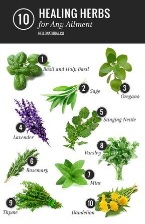 A healing herbs list of our favorite remedies for what ails you - you may already be growing these in your backyard! Kebun Herbal, Herbs List, Magia Das Ervas, Natural Healing Remedies, Healing Plants, Herbal Healing, Decoration Plante, Herbs For Health, Natural Therapy