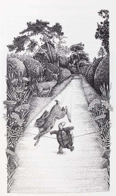 John Vernon Lord, 'The Hare and the Tortoise', illustrated from wood-engravings, from 'Aesop's Fables', retold in verse by James Mitchie, 1989. Published by Jonathan Cape, London. National Art Library Pressmark: 60.HH.46 Copyright Copyright Victoria and Albert Museum Tortoise And The Hare Tattoo, Tortoise And The Hare, The Hare And The Tortoise, Hare And Tortoise, Tortoise And The Hare Illustration, The Tortoise And The Hare Illustration, Rabbit And Turtle Story Illustration, Hare Illustration, Aesops Fables