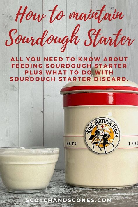 Maintain Sourdough Starter, Feed Sourdough Starter, Best Sourdough Starter Recipe, Dough Starter Recipe, Sourdough Starter Discard, Starter Ideas, Recipe Using Sourdough Starter, Sourdough Bread Starter, Sourdough Starter Discard Recipe