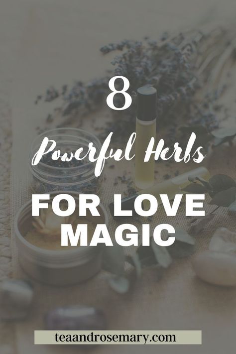 Herbs For Love, Herbs For Witchcraft, Herb Meanings, Witchy Rituals, Magic Tea, Love Magic, Magic Herbs, Spiritual Stuff, Powerful Love Spells