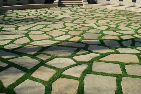 Flagstone with grass Grass Paving, Grass Driveway, Grass Pavers, Backyard Landscape Ideas, Hanging Plants Outdoor, Bermuda Grass, Pergola Swing, Driveway Ideas, Artificial Plants Indoor