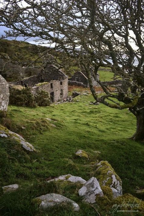 Illustration Website, Cottage In The Forest, Countryside Village, Welsh Countryside, Wales Uk, British Countryside, Abandoned Buildings, English Countryside, Personal Blog