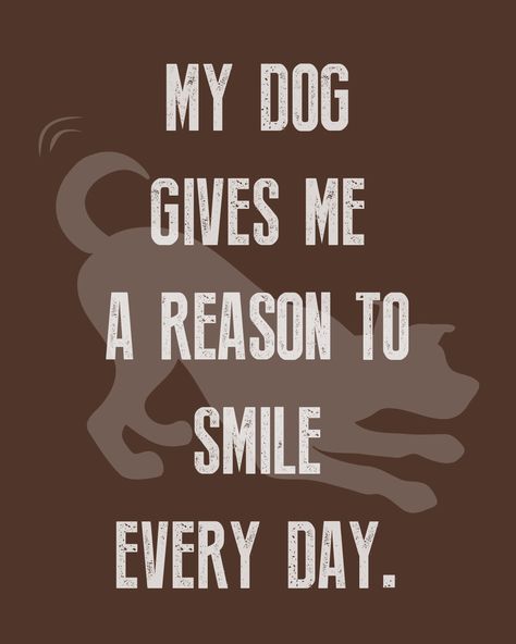 My dog gives me a reason to smile every day. ❤️ #WeeklyPLAYQuote heartwarming dog quote, best dog quotes, dog quote, cute dog quote, phone background quote Best Dog Ever Quotes, Just A Dog Quote, Dogs Know When Your Sick Quotes, I Love Dogs Quotes, Quotes Dogs Love, Quote On Dogs, My Puppy, Dogs Are Better Than People Quotes, Dog Quotes Love Best Friends