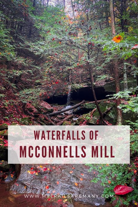 Looking to visit waterfalls near Pittsburgh? Check out McConnells Mill State Park, about 40 miles aware from Pittsburgh! Mcconnells Mill State Park, Pennsylvania Waterfalls, Mill Creek, Covered Bridge, Covered Bridges, State Park, Pittsburgh, Pennsylvania, State Parks