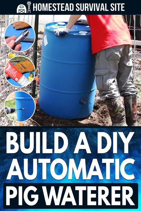 Water For Pigs, Diy Farrowing Crate Pigs, Diy Pig Water Trough, Pig Pool Ideas, Pig Mud Pit, Pig Watering System, Automatic Pig Waterer, Pig Fencing Ideas, Building A Pig Pen