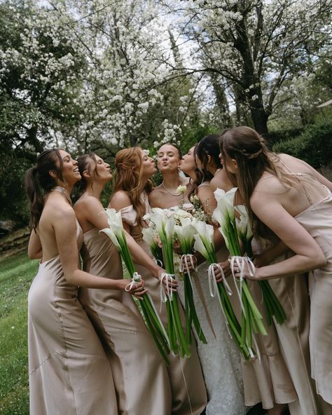 So, are we all equally in love with these long stem bouquets? I’ve already posted the second picture in a carousel but I wanted to give it another moment. The bride’s sister in law did a fabulous job with the personals & they ended up absolutely breathtaking. Simplistic but impactful - we love 🕊️ Photography: @skyandsavvyphoto Planning: @adrnevents Bouquet & Ceremony: @floraebyalana Bridesmaid bouquets: Montana Carr Venue: @milagrowinery Videographer: @baker4a Beauty: @blushbymmarie DJ:... One Flower Bridesmaid, Bridesmaids One Flower, Bridesmaid No Flowers, One Flower Bridesmaid Bouquet, Long Stemmed Bouquet, Long Stem Bridesmaid Bouquet, Single Flower Bridesmaid, Bridesmaid Single Rose, Long Stem Bridal Bouquet