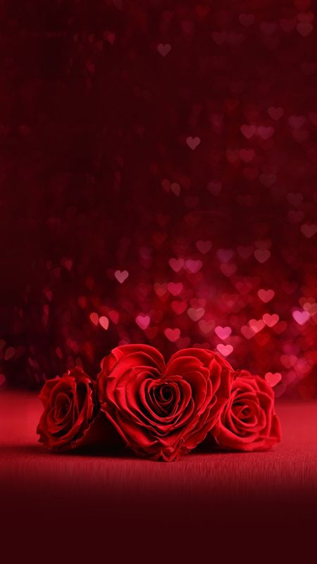 A Rose For You, Love Wallpaper Backgrounds Romantic, Love Rose Wallpaper, Red Love Wallpaper, Heart Shape Wallpaper, Heart Wallpaper Backgrounds, Red Heart Wallpaper, Red Rose Wallpaper, Red Roses Background