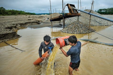 Illegal mining has muddied tropical rivers worldwide | Science | AAAS Illegal Mining, Wake Forest University, Nuclear Reactor, Fluid Dynamics, University Of Colorado, Alien Worlds, Astronomer, Natural Resources, Republic Of The Congo