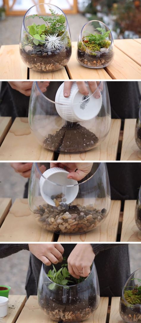 Spring Video, Make A Terrarium, Terrariums Diy, Modern Terrarium, Cactus Terrarium, Diy Succulent Terrarium, Succulent Bowls, Diy Terrarium, نباتات منزلية