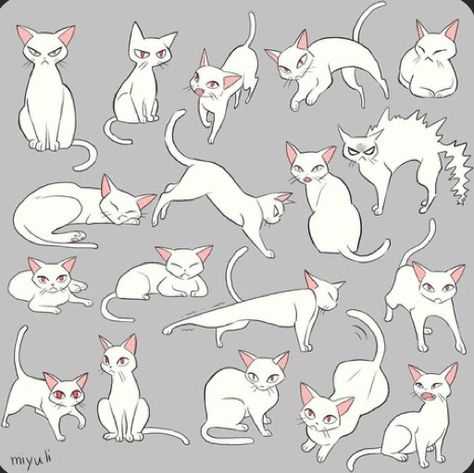 Cat Drawing Poses, Cat Reference Poses, How To Draw A Cat Step By Step, Cat Poses Drawing, Morgana And Oz, Cat Hand Drawing, Cat Drawing Tutorial, Cats Art Drawing, Kitten Drawing