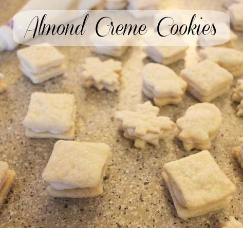 Almond creme cookies (also called Swedish Cream Cookies) are delicate pastry cookies with a great almond flavor. Make them in your favorite shapes and filling colors for any occasion.   There’s not much better in my opinion than a little… Almond Cream Cookies, Swedish Cream, Soft Gingersnap Cookies, Pastry Cookies, Almond Creme, Crazy Cookies, Cream Cookies, Favorite Cookie Recipe, Cookie Time