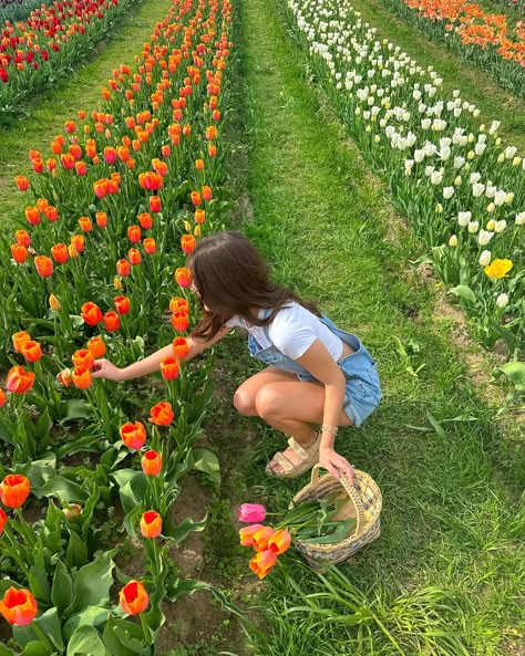 my ideal spring day🌷🧡🌸💐 #flowerfarm #tulipfarm #tulipseason #flowerfield Emery Core, Amsterdam Tulips, City View Apartment, Tulip Season, Flower Picks, Picking Flowers, Shot List, Vacation Inspiration, Tulip Fields