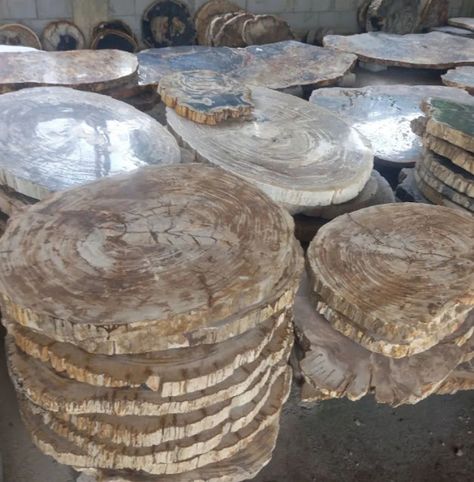 Petrified Wood Stepping Stones Wood Stepping Stones, Architecture Firms, Fossilized Wood, Design Table, Wood Polish, Table And Chair, Tints And Shades, Petrified Wood, Shades Of Brown