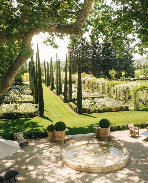 Formal Gardens, Decor Minimalist, Shade Garden, Nature Aesthetic, Dream Garden, Green Aesthetic, Dream Home Design, Garden Inspiration, Outdoor Garden